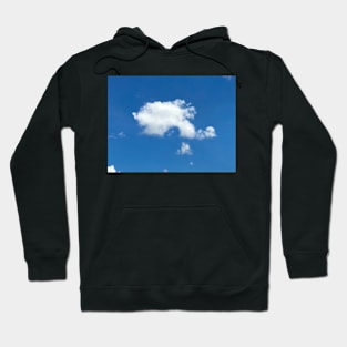 Little Fish in the Sky Hoodie